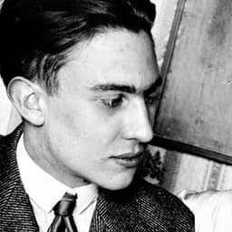 Реймон Радіґе Реймон Радіґе