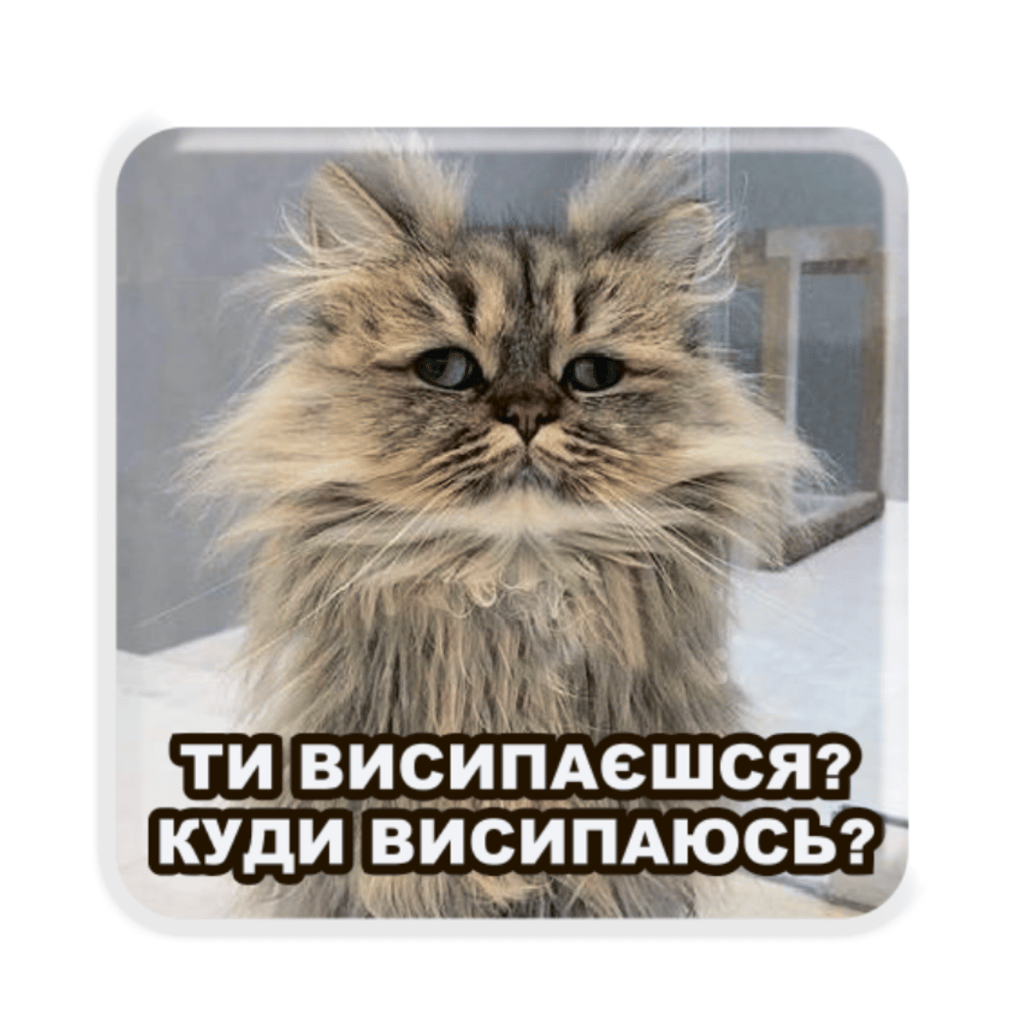 Обкладника "3D стікер «Сонний кіт»" Обкладинка "3D стікер «Сонний кіт»"