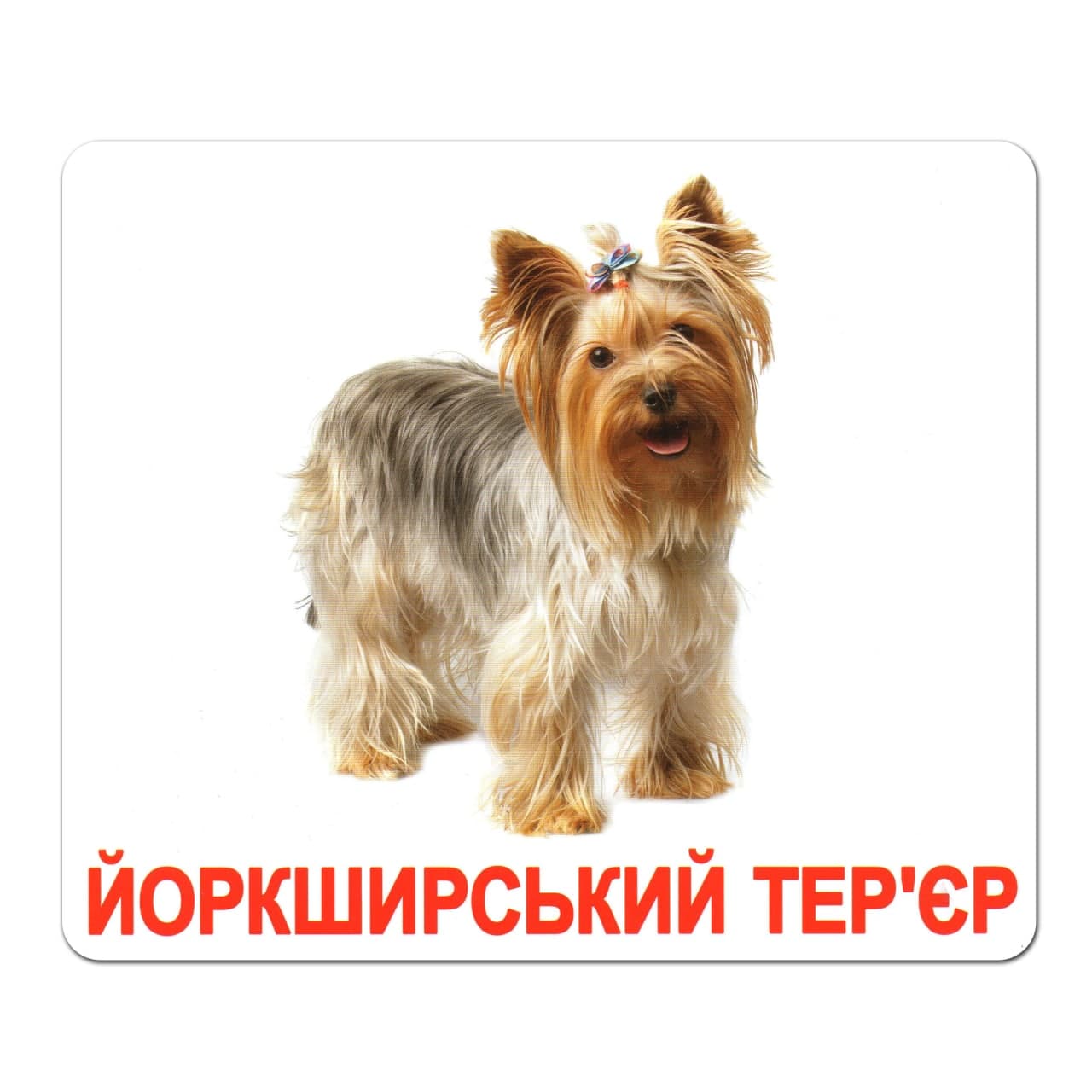 Ламіновані картки Домана «Породи собак»