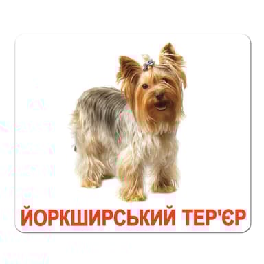 Ламіновані картки Домана «Породи собак»