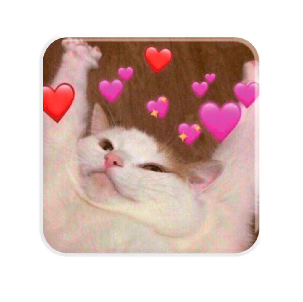 Обкладника "3D стікер «Cat love»" Обкладинка "3D стікер «Cat love»"