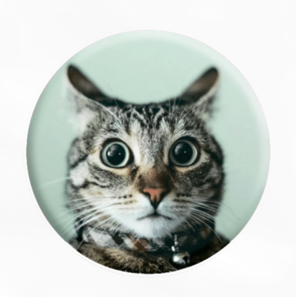 Обкладника "3D-стікер «Мем здивований кіт»" Обкладинка "3D-стікер «Мем здивований кіт»"