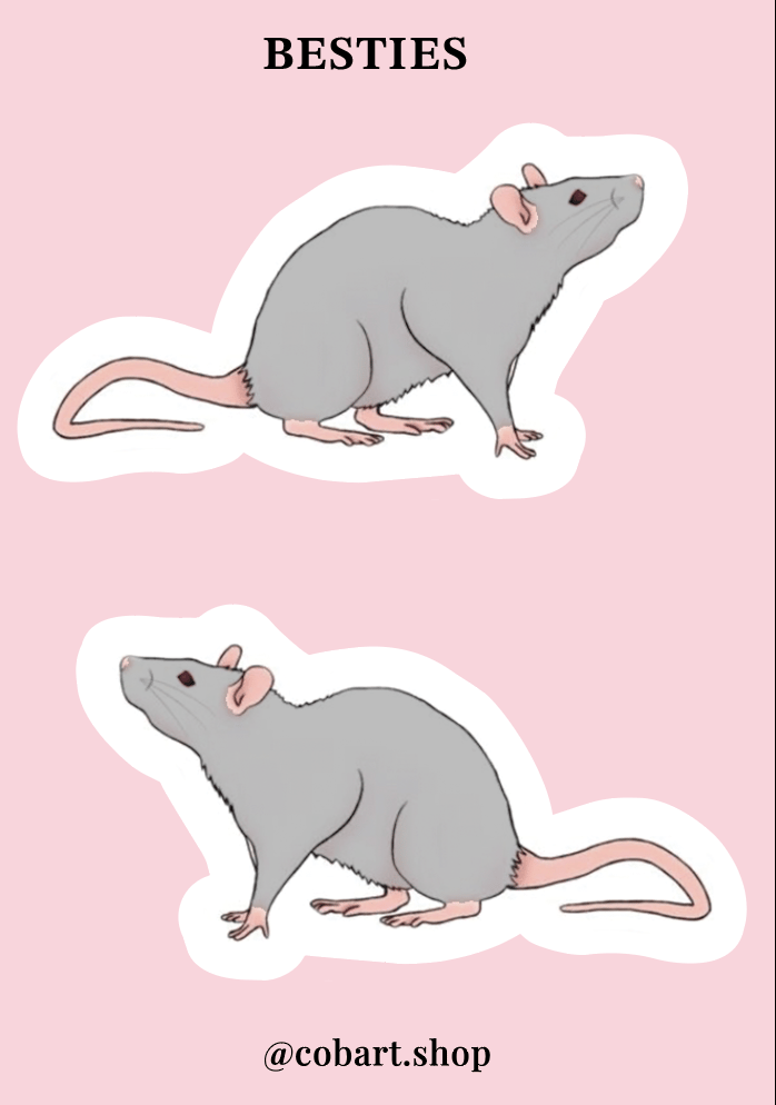 Об'ємні стікери «Besties»