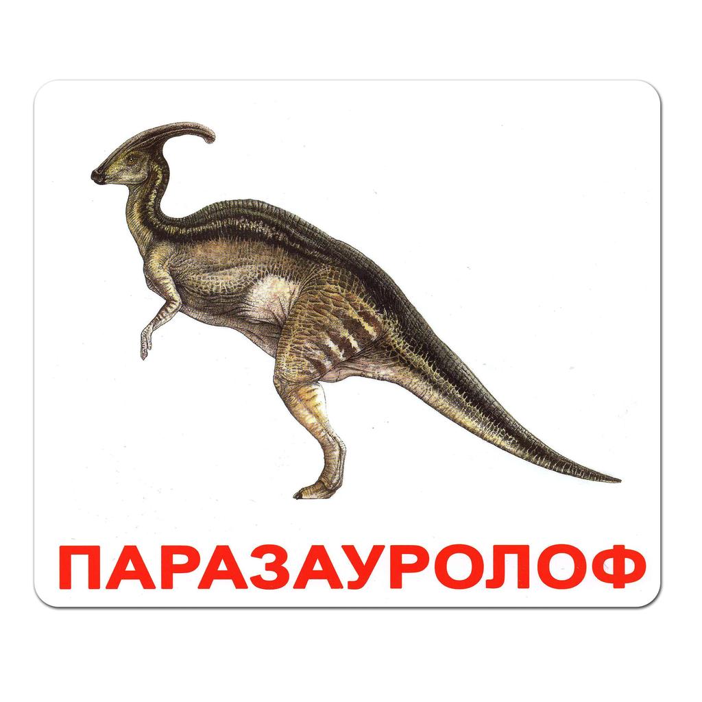 Обкладника "Ламіновані картки Домана «Динозаври»" Обкладинка "Ламіновані картки Домана «Динозаври»"