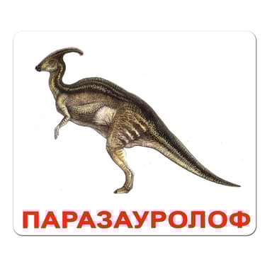 Ламіновані картки Домана «Динозаври»