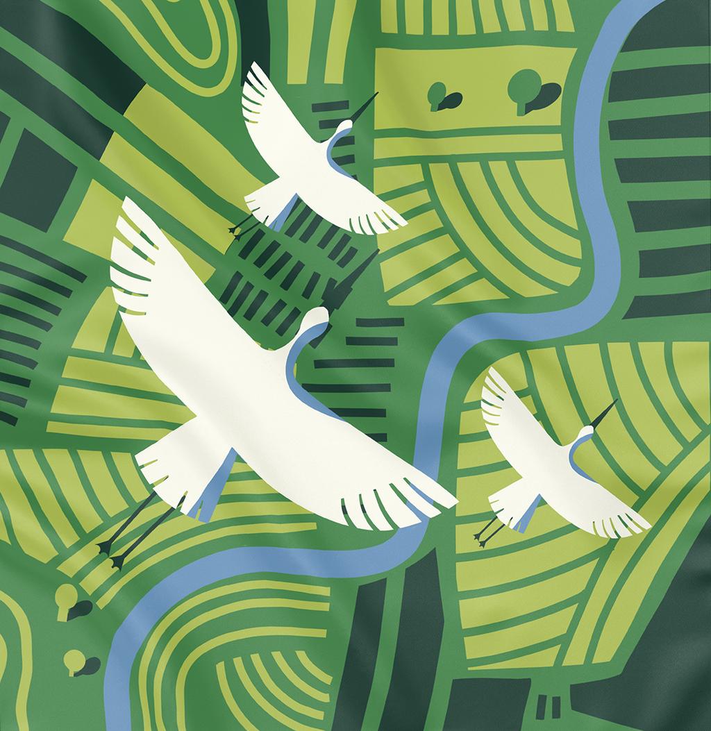 Обкладника "Хустка «Українські поля»" Обкладинка "Хустка «Українські поля»"