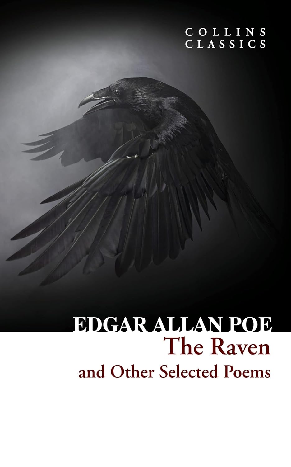 Обкладника "The Raven and Other Selected Poems" Обкладинка "The Raven and Other Selected Poems"