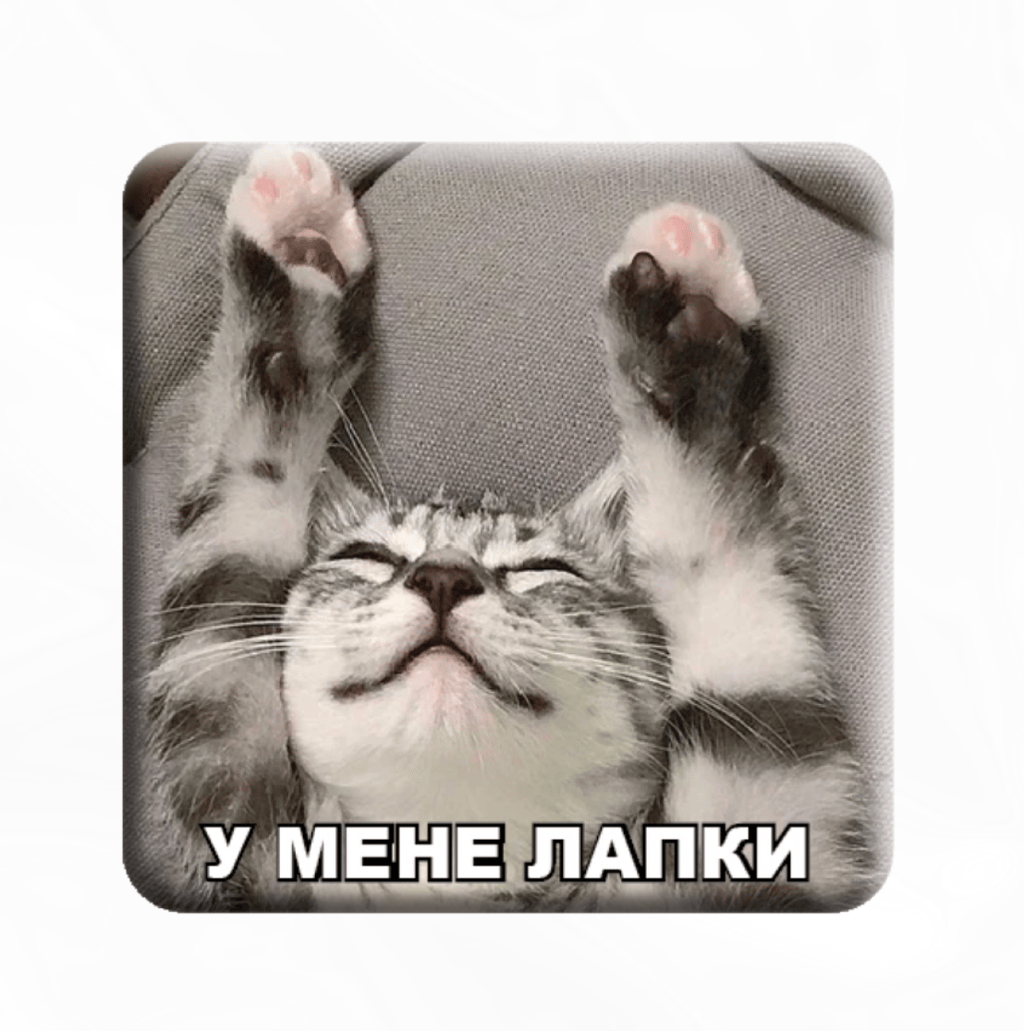 Обкладника "3D стікер «У мене лапки»" Обкладинка "3D стікер «У мене лапки»"