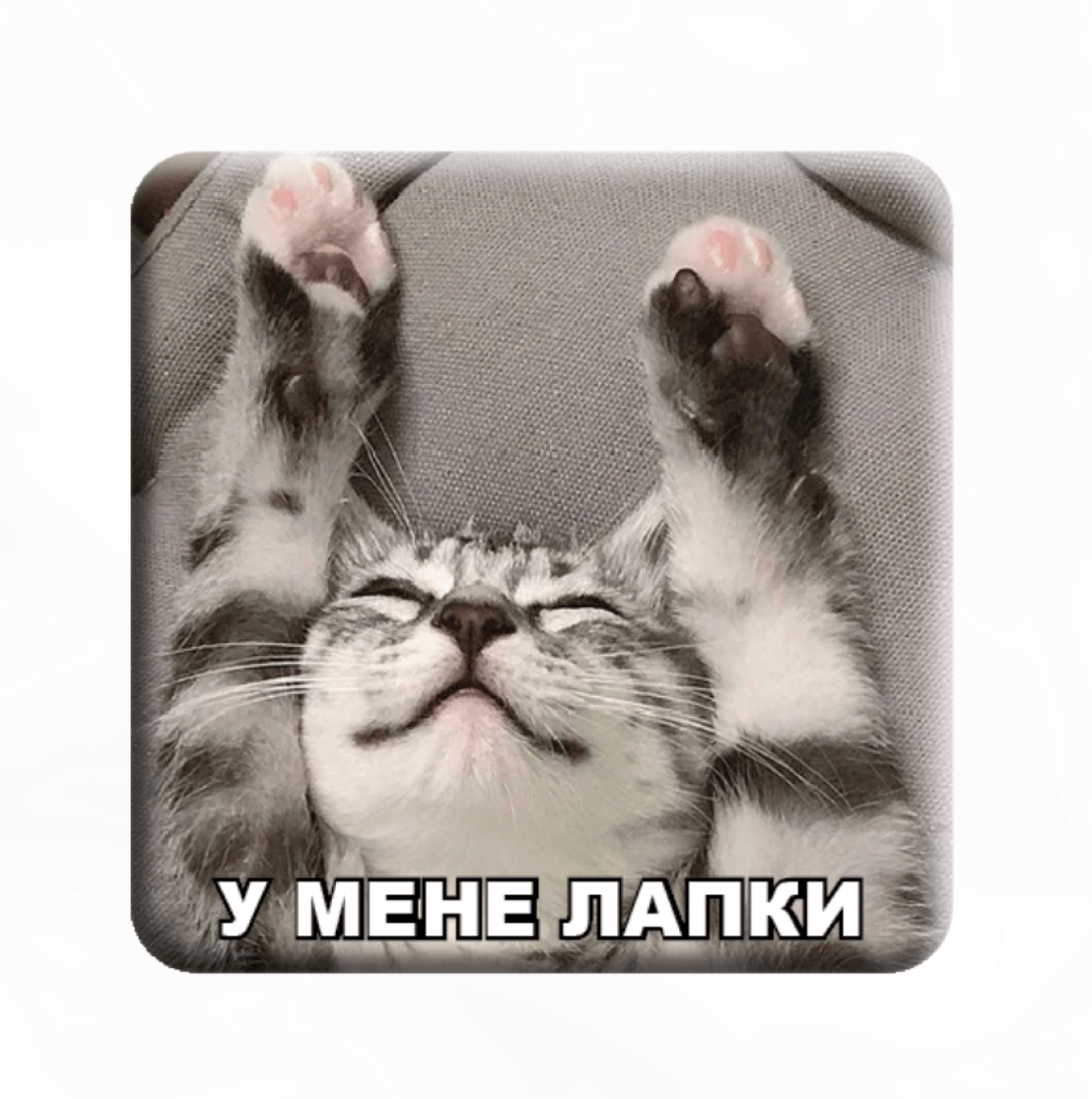 Обкладника "3D стікер «У мене лапки»" Обкладинка "3D стікер «У мене лапки»"