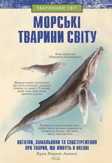 Морські тварини світу