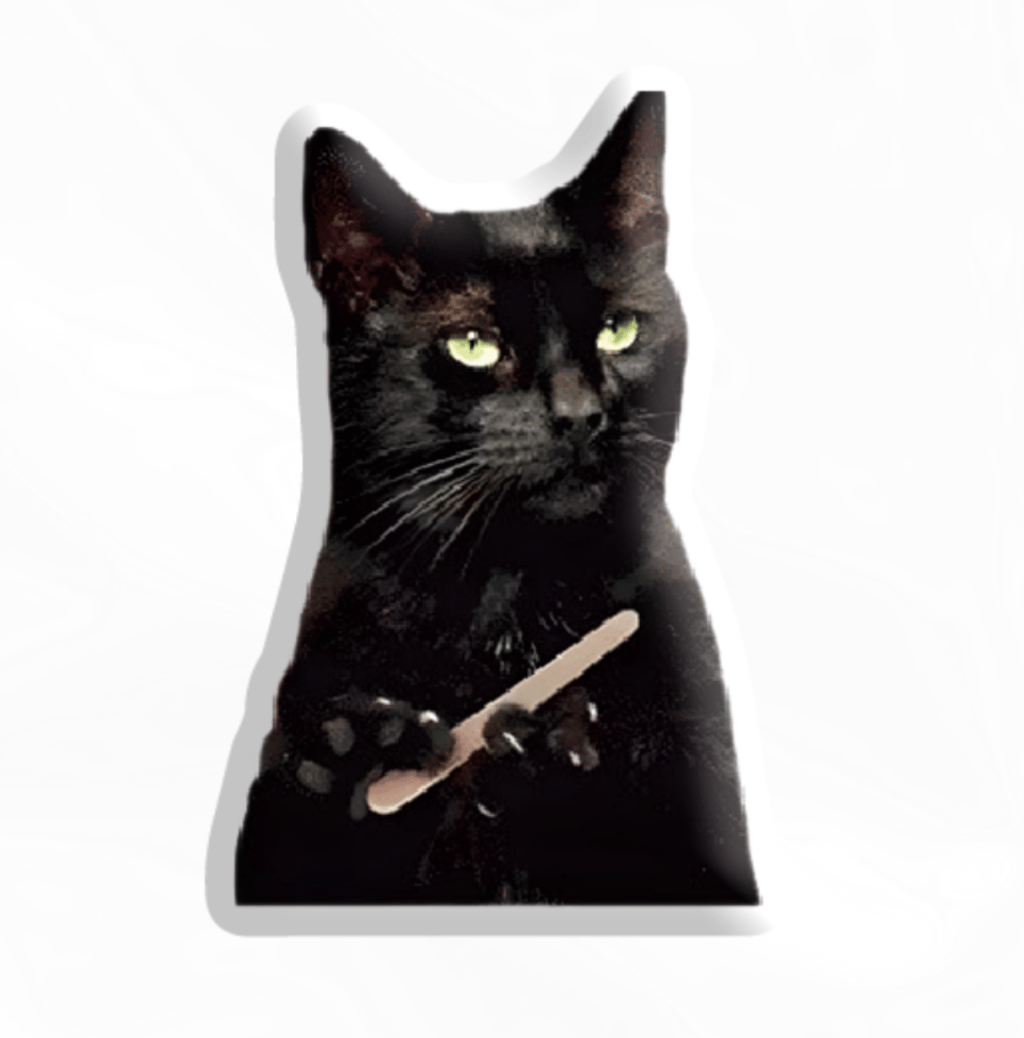 Обкладника "3D стікер «Чорний кіт мем»" Обкладинка "3D стікер «Чорний кіт мем»"