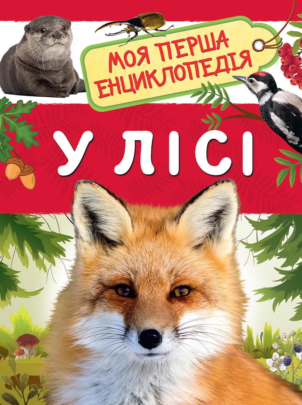 У лісі. Моя перша енциклопедія