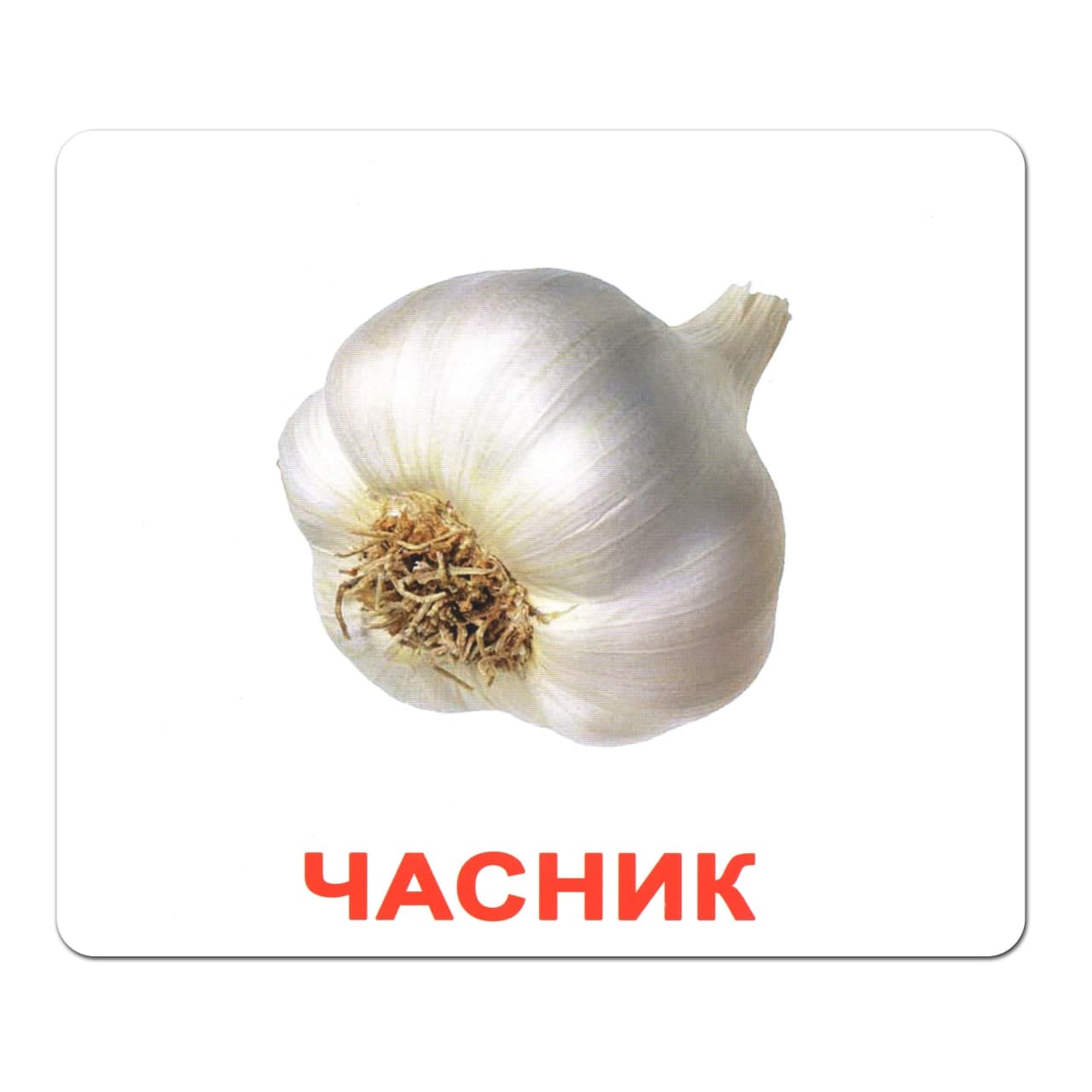 Ламіновані картки Домана «Овочі»