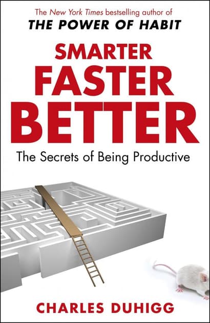 Обкладника "Smarter Faster Better" Обкладинка "Smarter Faster Better"