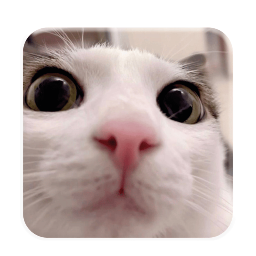 Обкладника "3D стікер «Я все бачу»" Обкладинка "3D стікер «Я все бачу»"