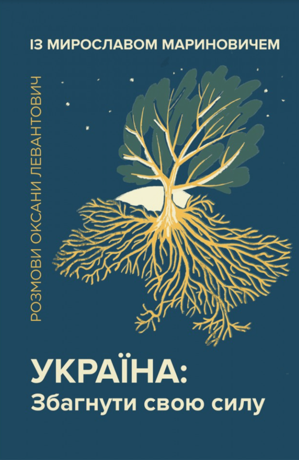 Обкладника "Україна: збагнути свою силу" Обкладинка "Україна: збагнути свою силу"
