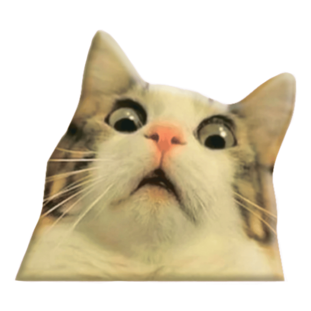 Обкладника "3D стікер «Мем здивований котик»" Обкладинка "3D стікер «Мем здивований котик»"