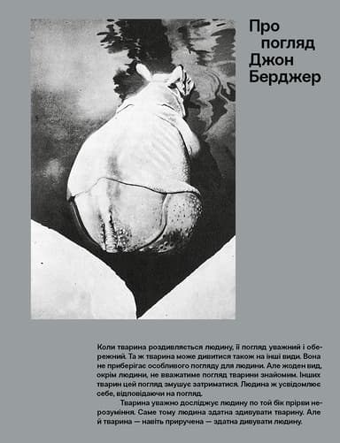 Про погляд