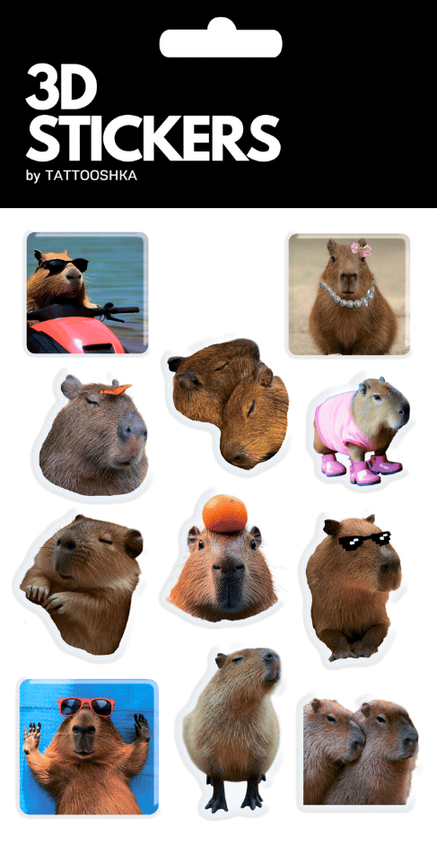 3D стікери «Капібара»