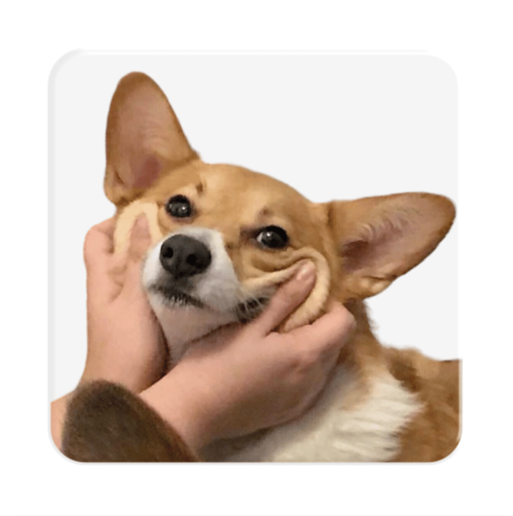 Обкладника "3D стікер «Щасливий коргі»" Обкладинка "3D стікер «Щасливий коргі»"