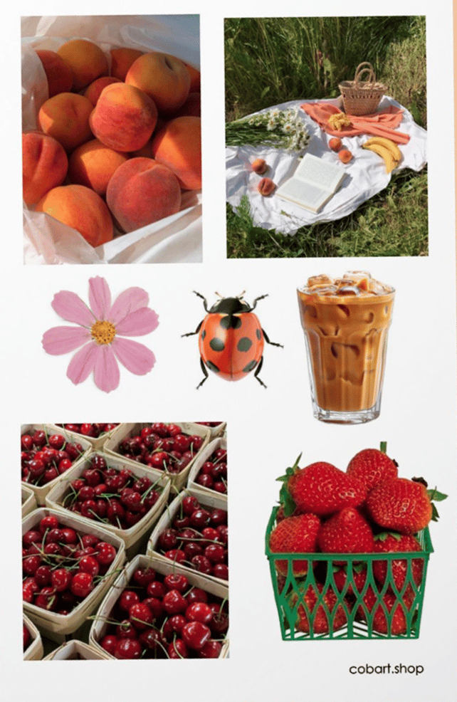 Обкладника "Вініловий стікерпак «Jun sun»" - 1 Фото Превью "Вініловий стікерпак «Jun sun»" - Фото №1