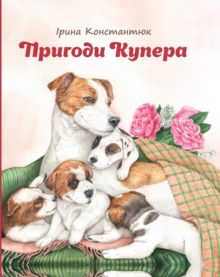 Обкладника "Пригоди Купера" Обкладинка "Пригоди Купера"