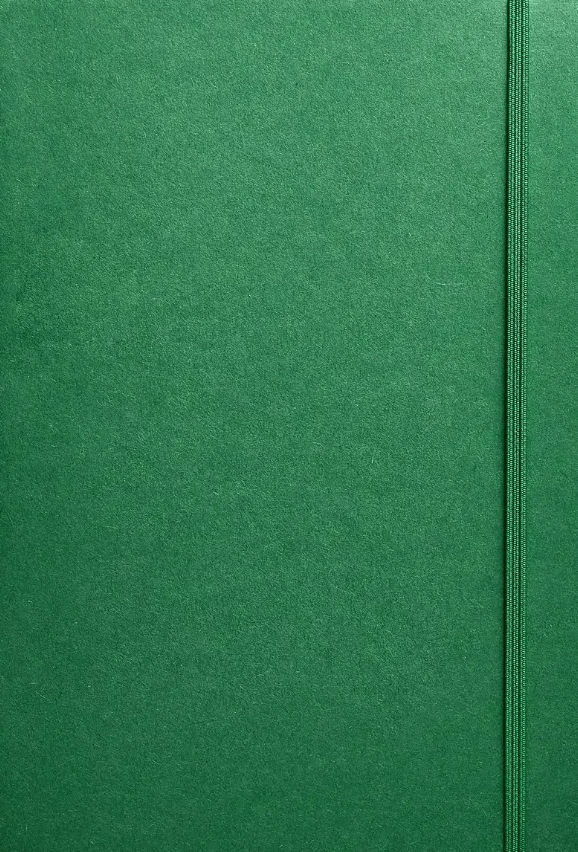 Обкладника "Нотатник «Нефритовий» в крапку" - 1 Фото Превью "Нотатник «Нефритовий» в крапку" - Фото №1