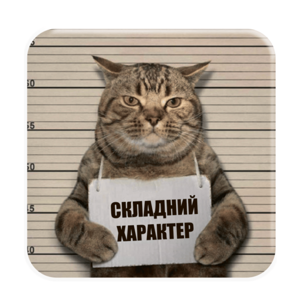 Обкладника "3D стікер «Складний характер»" Обкладинка "3D стікер «Складний характер»"