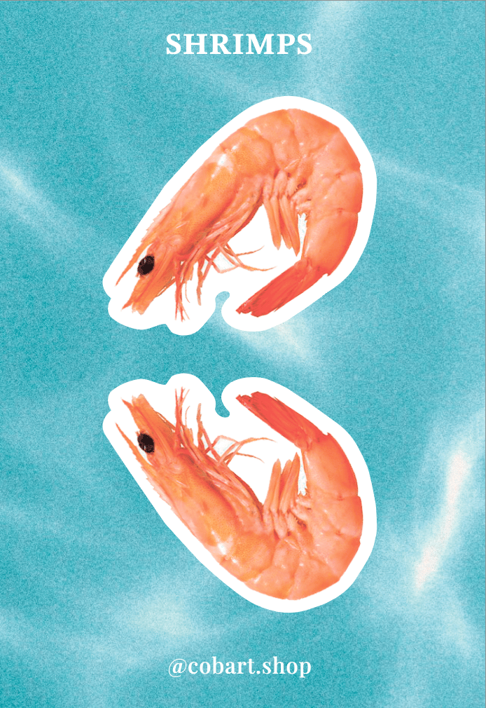 Об'ємні парні стікери «Shrimps»