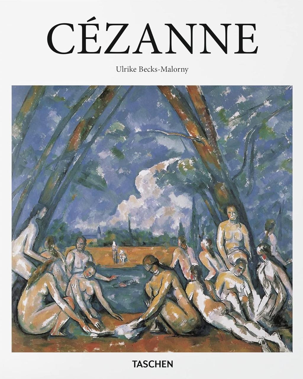 Обкладника "Cézanne" Обкладинка "Cézanne"