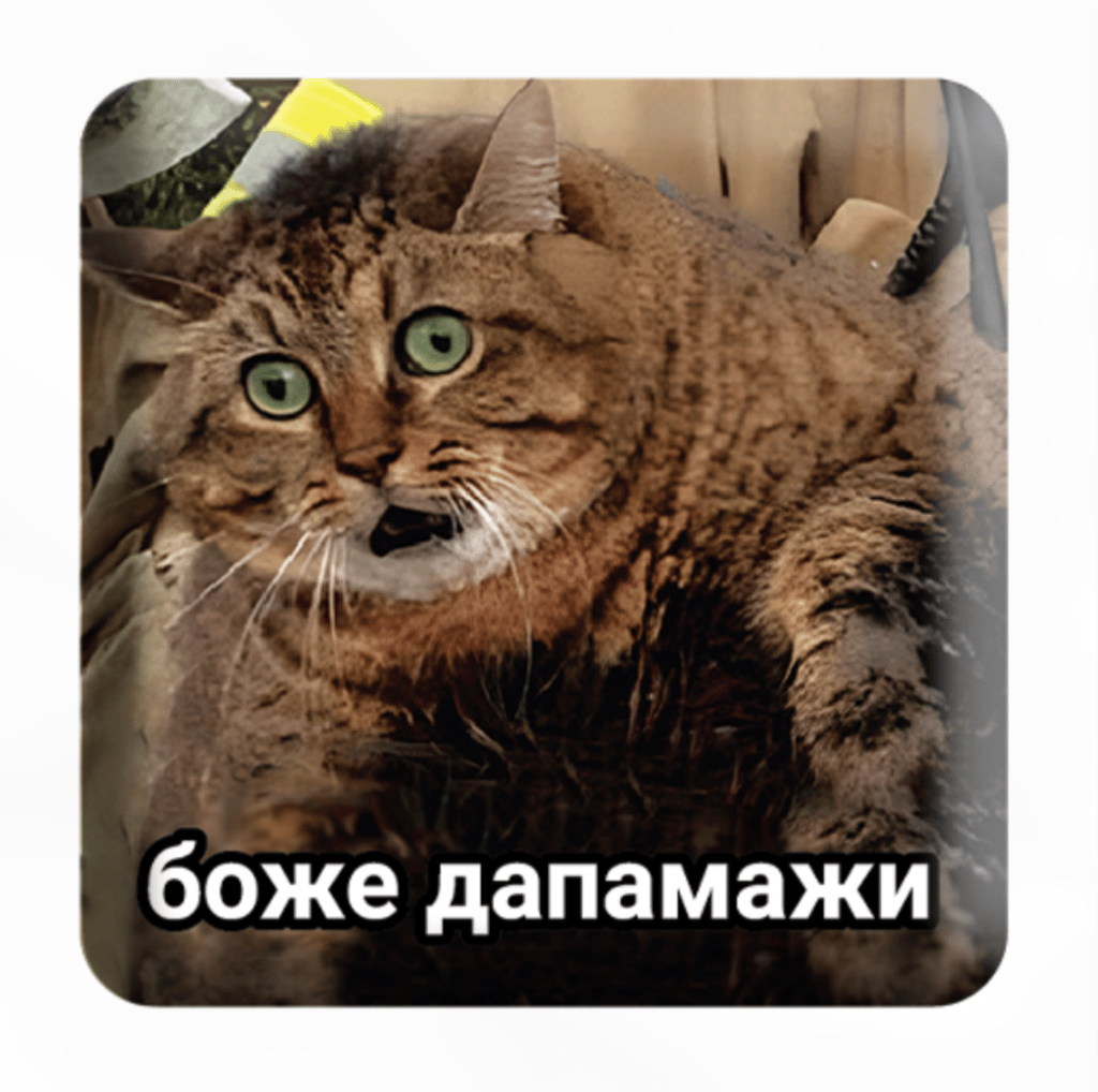 Обкладника "3D стікер «Боже дапамажи»" Обкладинка "3D стікер «Боже дапамажи»"