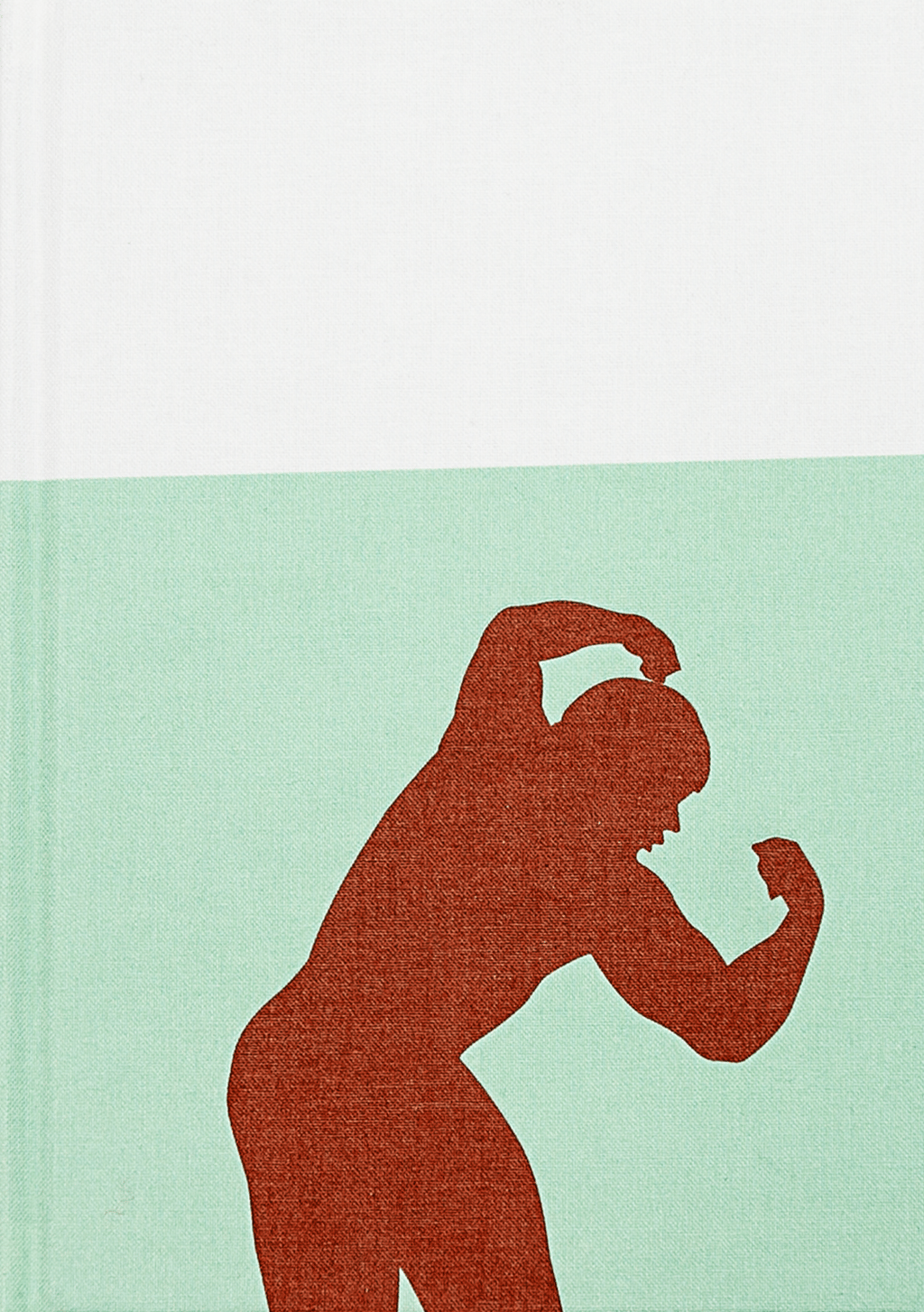 Обкладника "Schwarzenegger is my idol" - 1 Фото Превью "Schwarzenegger is my idol" - Фото №1