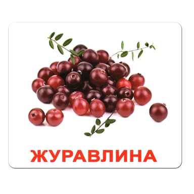 Ламіновані картки Домана «Ягоди»