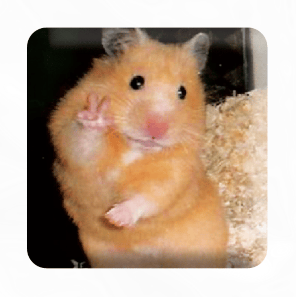 Обкладника "3D стікер «Хомяк каже привіт»" Обкладинка "3D стікер «Хомяк каже привіт»"