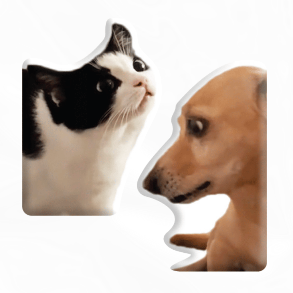 Обкладника "3D стікер «Кіт і собака меми»" Обкладинка "3D стікер «Кіт і собака меми»"