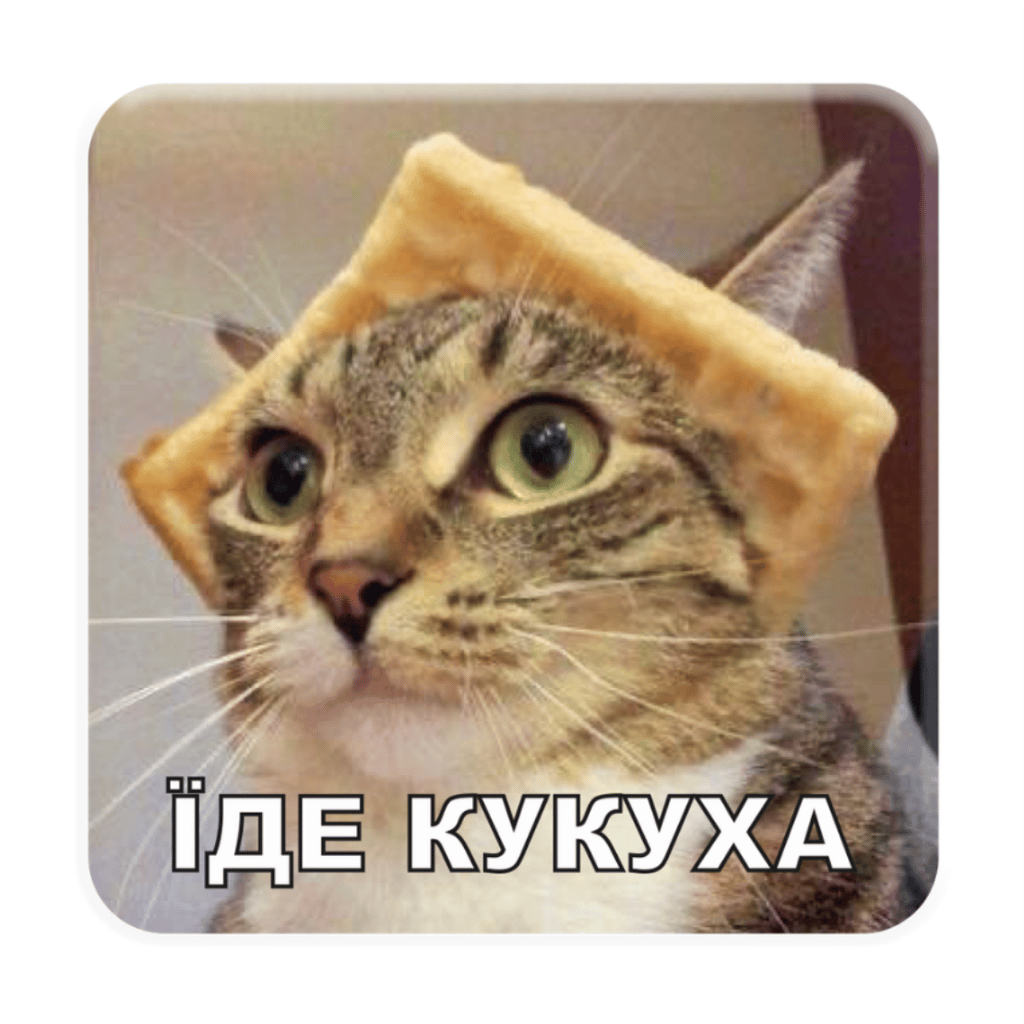 Обкладника "3D стікер «Їде кукуха»" Обкладинка "3D стікер «Їде кукуха»"