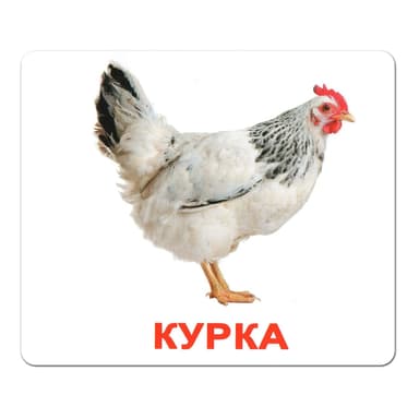 Ламіновані картки Домана «Свійські тварини»