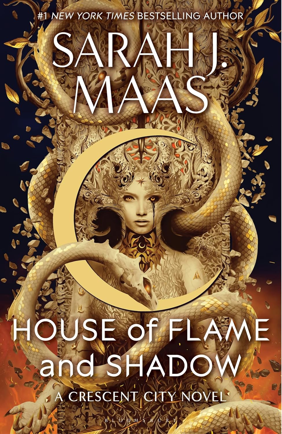 Обкладника "House of Flame and Shadow" - 1 Фото Превью "House of Flame and Shadow" - Фото №1