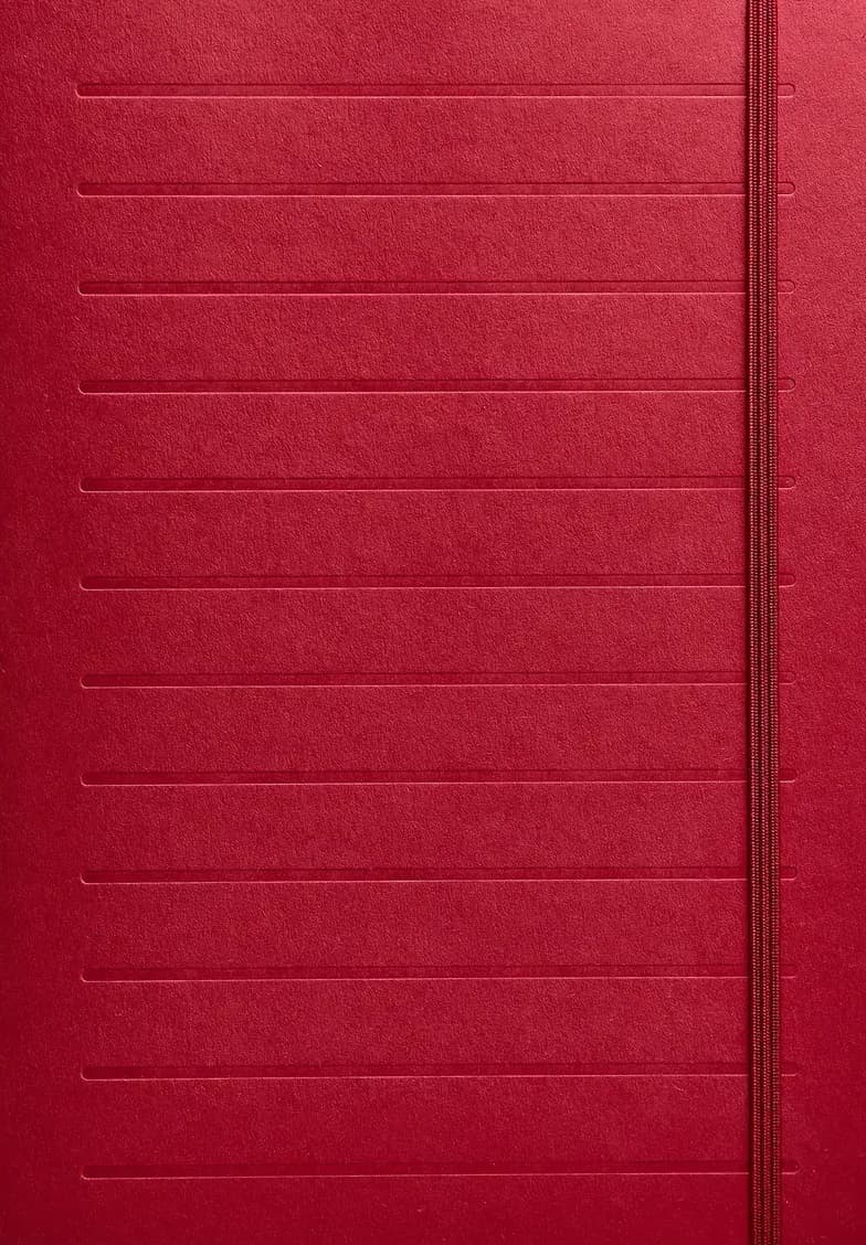 Нотатник «Бордова лінія»