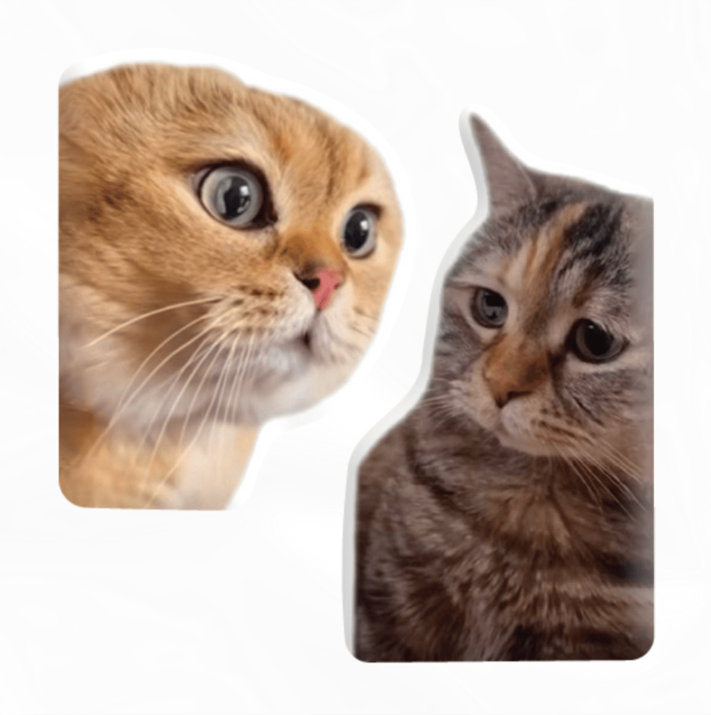 Обкладника "3D стікер «Коти меми»" Обкладинка "3D стікер «Коти меми»"