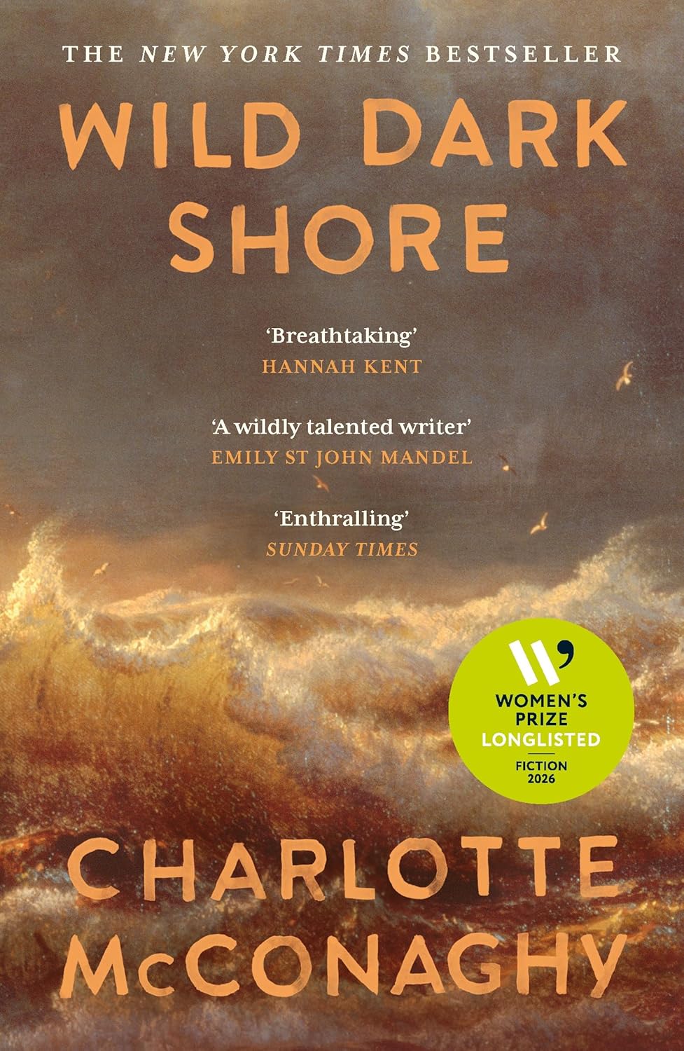 Обкладника "Wild Dark Shore" Обкладинка "Wild Dark Shore"