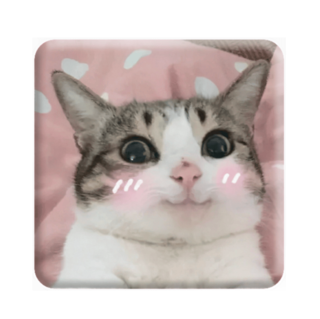 Обкладника "3D стікер «Мем милий котик»" Обкладинка "3D стікер «Мем милий котик»"