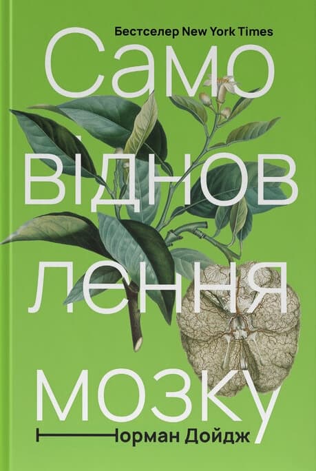 Самовідновлення мозку