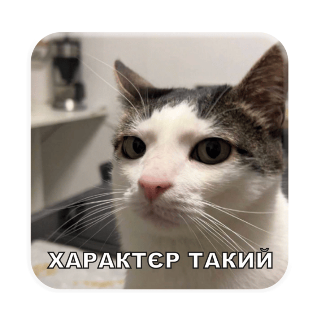 Обкладника "3D стікер «Характєр такий»" Обкладинка "3D стікер «Характєр такий»"