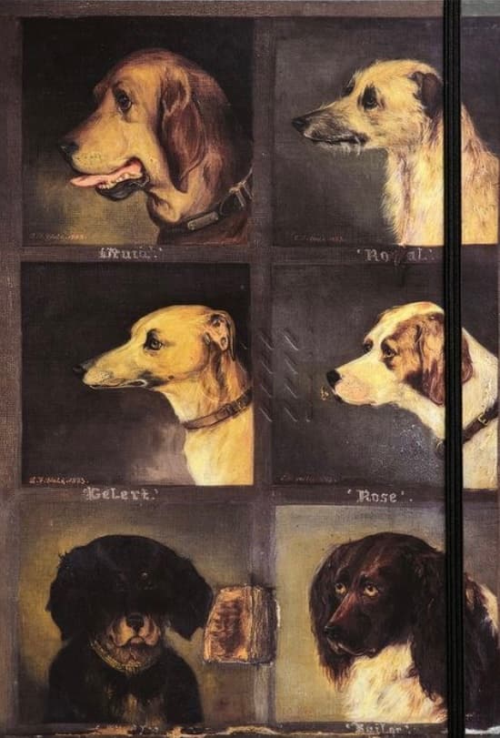 Скетчбук «12 улюблених собак»