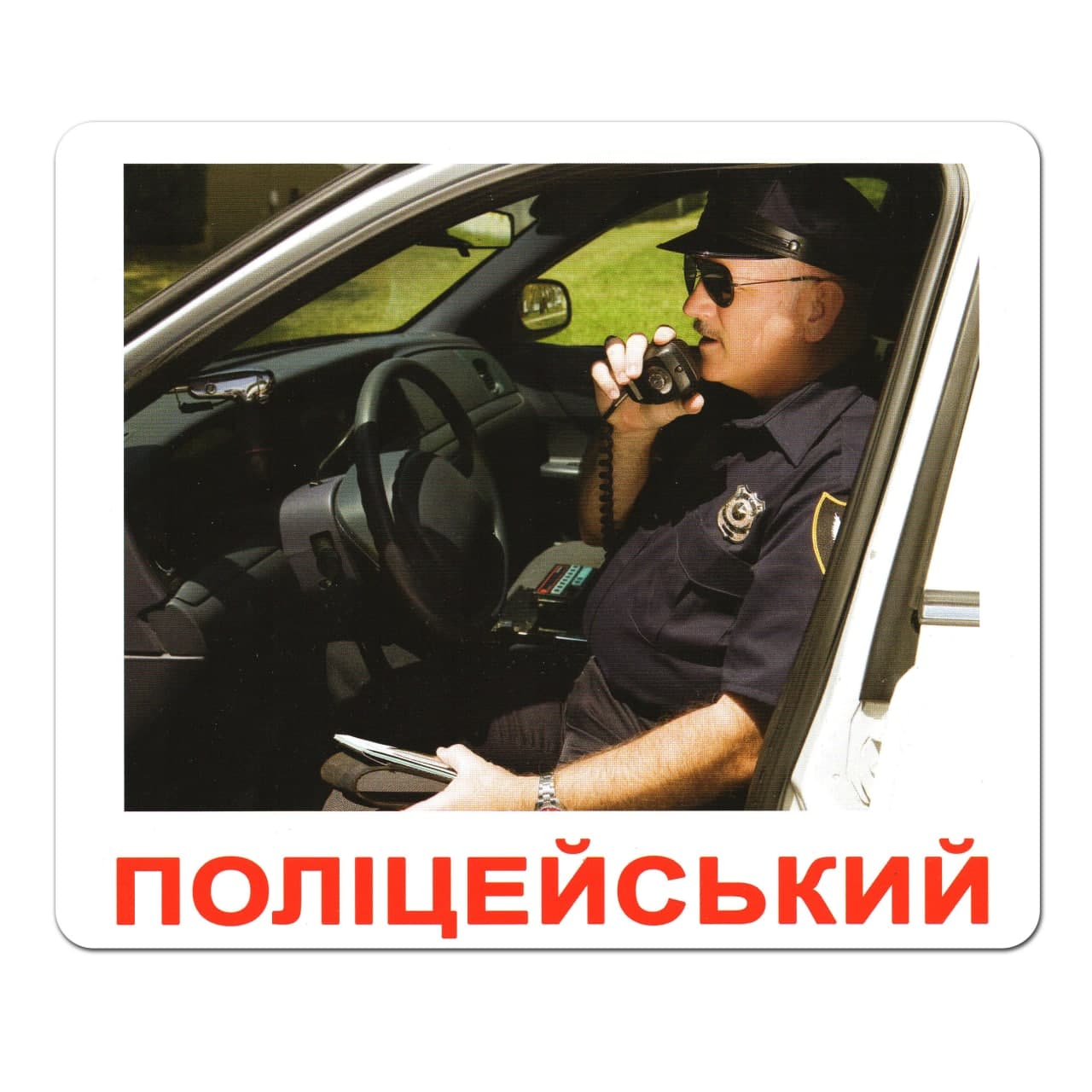 Ламіновані картки Домана «Професії»