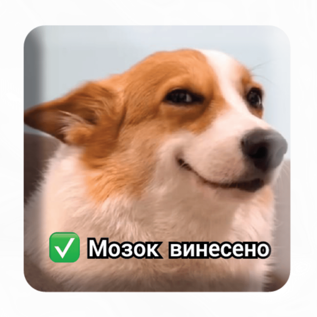 Обкладника "3D стікер «Мозок винесено»" Обкладинка "3D стікер «Мозок винесено»"