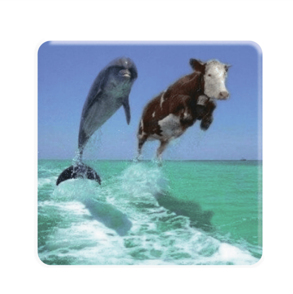 Обкладника "3D-стікер «Два Дельфіна»" Обкладинка "3D-стікер «Два Дельфіна»"