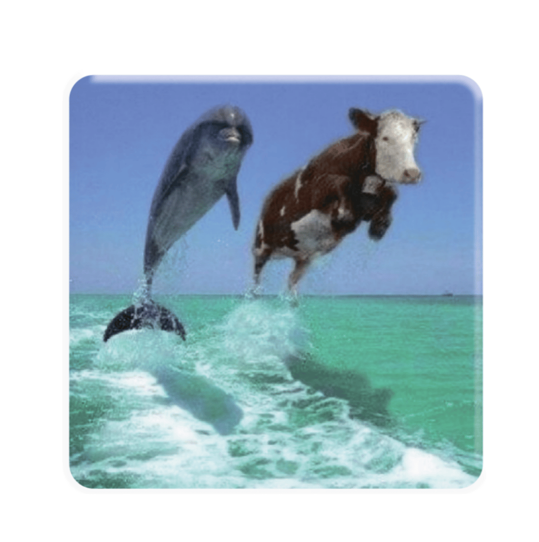 3D-стікер «Два Дельфіна»