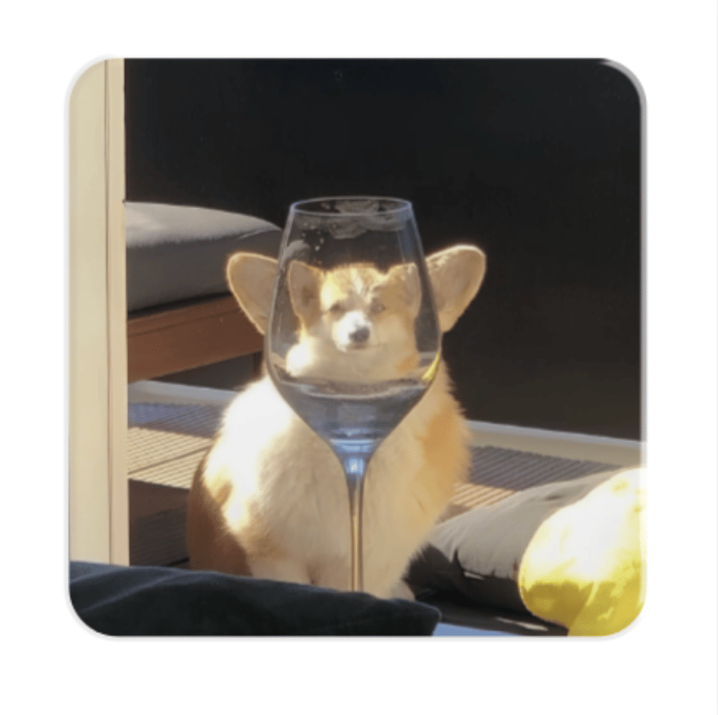 Обкладника "3D стікер «Коргі»" Обкладинка "3D стікер «Коргі»"